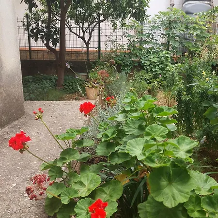 Kapetan Apartment *