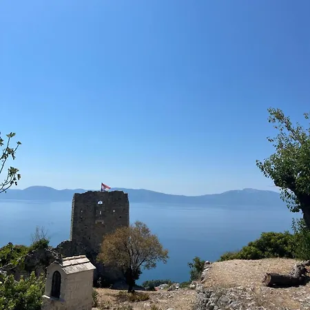 Kapetan * Podaca