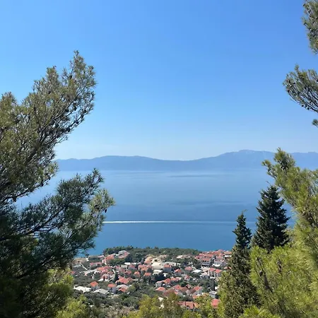 Kapetan