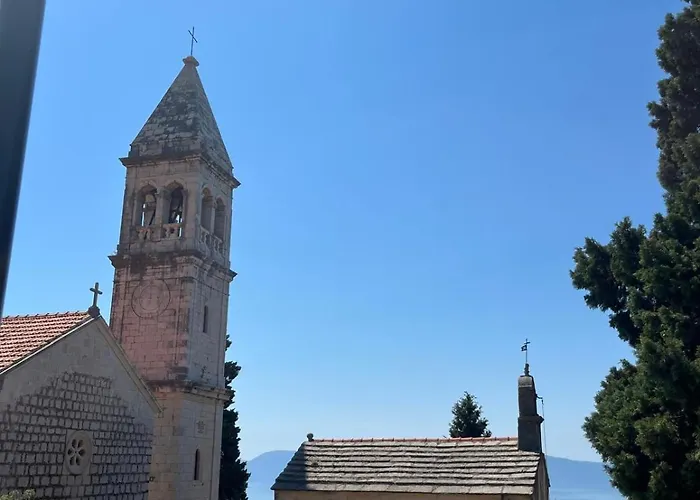Kapetan بوداكا