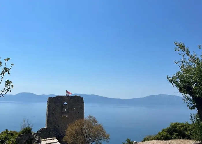 Kapetan * بوداكا